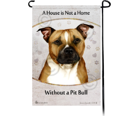 Pit Bull Brown & White Uncrop