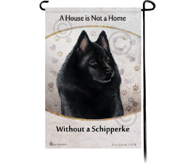 Schipperke