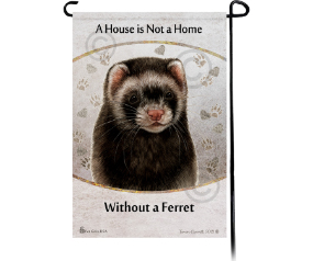 Ferret Black Sable