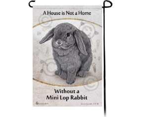 Rabbit Mini Lop Blue