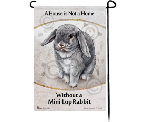 Rabbit Mini Lop Chinchilla