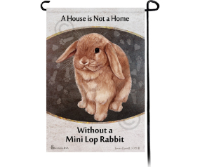 Rabbit Mini Lop Cinnamon