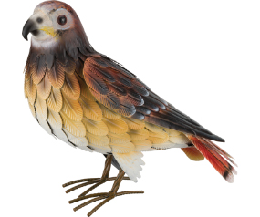 Red Tail Hawk Dec