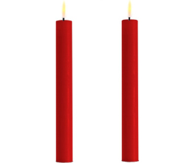W29 RF0261