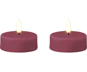 W29 RF04161