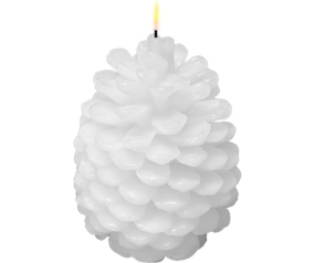 W29 RFXMAS0012