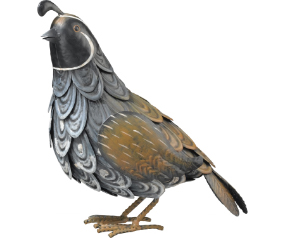 Quail Dec