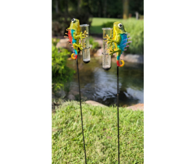 Chameleon Rain