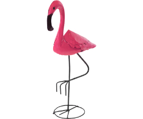 Flamingo Xs