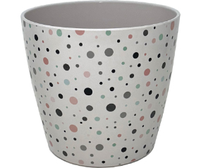 Bamboo Blooms Dots 7IN