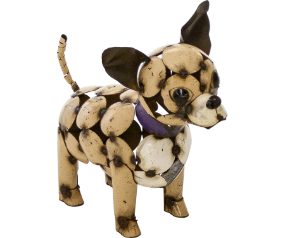 Chihuahua Dog With Circles