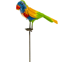 Parrot On Stake