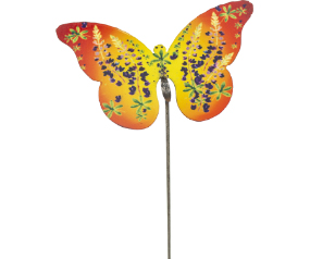 Large Assorted Butterfly