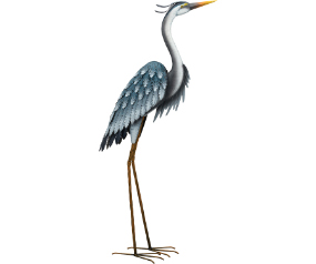 Blue Heron 44 Up