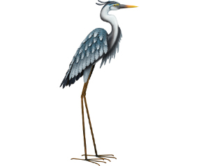 Blue Heron 41 Down