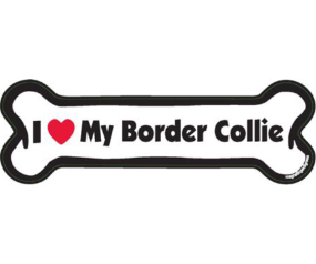 I Heart My Border Collie