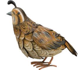 Quail Female Dec
