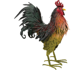 Napa Rooster 21