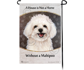 Maltipoo