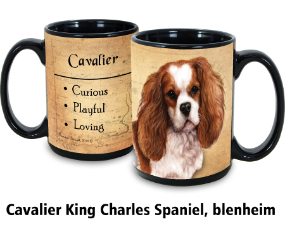 Cavalier King Charles Blenheim