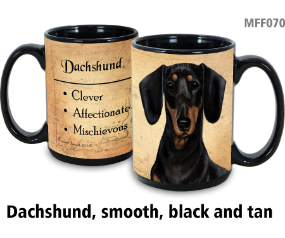 Dachshund Shorthair Black/Tan