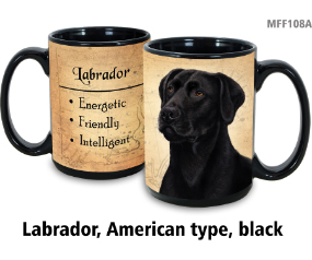 Labrador Retriever American