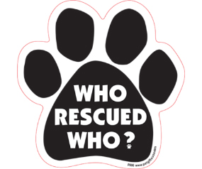 Who Rescued Who? - Paw Magnet