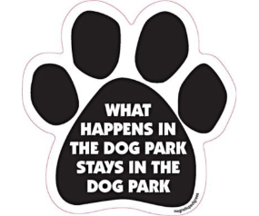 What Happens in the Dog Park