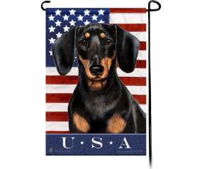 Dachshund Shorthair Black/Tan