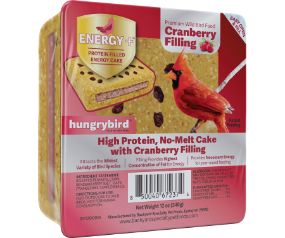 Energy+ Cranberry Cake