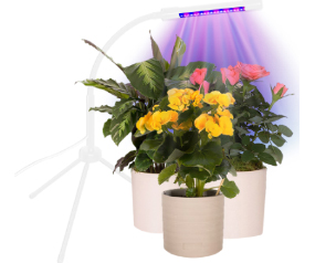 Plant Booster Grow Light