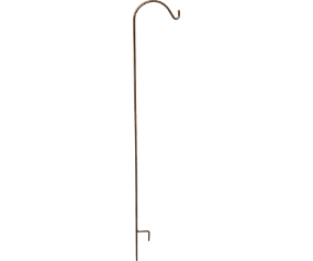 Tall Single Bronze