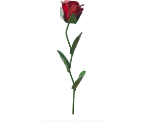 Set Of 6 Rose Stakes