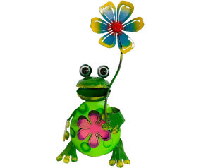 Frog With Flower