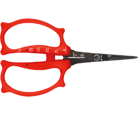 Trimming Scissor