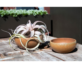 Cherry Blossom Bowls 4.5 Rkc