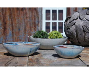 Succulent Canoe 12.0'' Marble