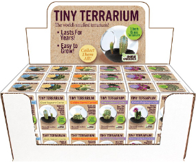 UG Cactus Tiny Terrarium