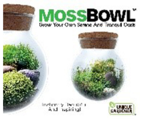 UG LED Moss Bowl