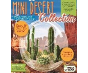 UG Mini Desert Terrarium