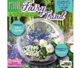UG Mini Fairy Triad Terrarium