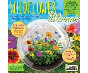 UG Wildflower Blooms