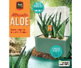 UG Altruistic Aloe