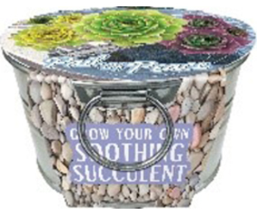 Pail of Peace Pail Garden