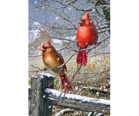Snowy Birds Garden Flag