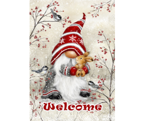 Welcome Wintr Gnom Garden