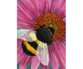 Busy Bee Garden Flag
