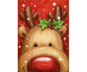 Festive Reindeer House Flag