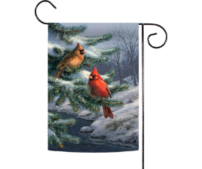 Winter Cardinals GF on Stand
