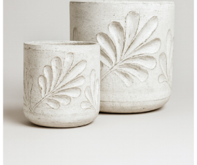 Acacia Nested Set Silca Pot
